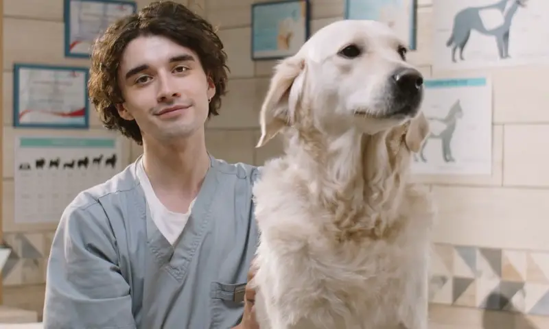 Young veterinarian with dark, curly hair smiles reassuringly next to a Golden Retriever