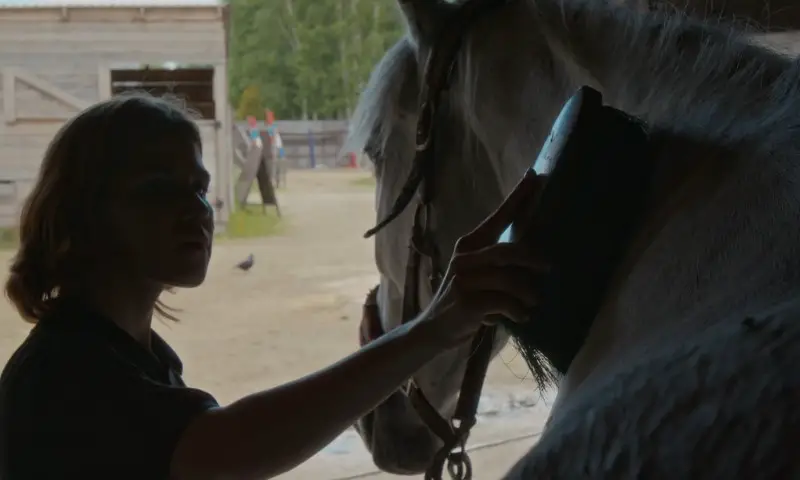 Woman grooming a horse